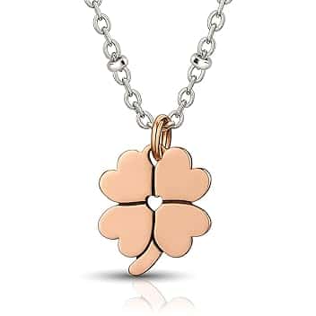 SAGA GIOIELLI Collana Donna Accaio Inossidabile Resistente, Idea Regalo Amica Speciale, Sorelle, Mamma, Nonna, Regali Portafortuna