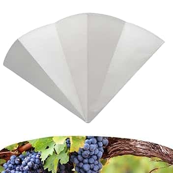 acquaverde | Filtro Carta per Enologia ∅40 cm, 205 Micron, Set da 6 Pezzi - Filtri per Vino, Liquori e Bevande Alcoliche, Alta qualità per Filtrazione Precisa e Sicura