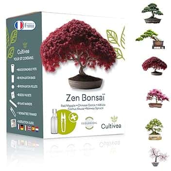 Cultivea Mini - Bonsai Ready-to-Grow Kit - Semi francesi 100% ecologici - Giardino e decorazione - Idea regalo (Mela rossa, Cercis cinese, Cornus Kousa, Albizia, Abete rosso)