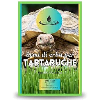 Semi di Erba per Tartarughe di Terra, Mix di Tarassaco, Cicoria, Scarola e Lattuga per Nutrizione Ottimale, MADE IN ITALY - Orto Facile