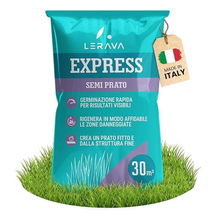 LERAVA® EXPRESS semi prato crescita rapida (30m²) - Semina resistente al calpestio - Sementi per prato soleggiato e mezz’ombra - Semi per un giardino verde fitto - 0,75kg