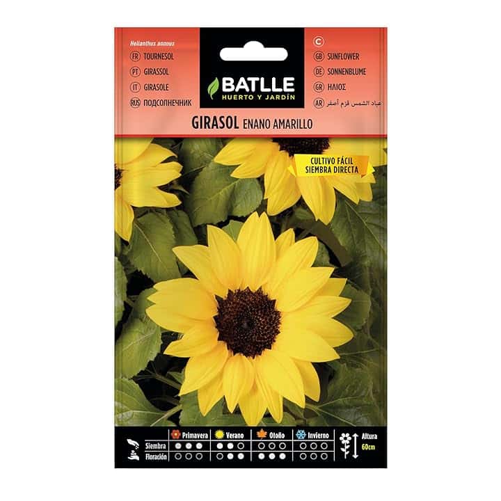Battle- Semi di Fiori, Girasole Nano Giallo