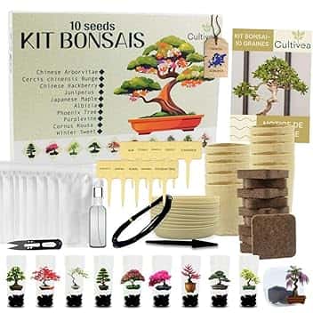 CULTIVEA® Kit Bonsai 10 Alberi da Coltivare – Bonsai Kit Completo per Principianti con Semi Rari, Vasi, Attrezzi e Guida – Kit Piante da Interno – Idee Regalo Giardinaggio e Amanti delle Piante