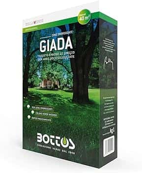 Bottos GIADA, Sementi per tappeto erboso pregiato per aree poco soleggiate, a colorazione verde brillante, ideale anche per parchi, 1Kg (40mq)