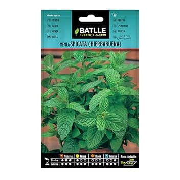 Battle - Semi Aromatici Menta Spicata/Romana (Semi - 40-50Cm)