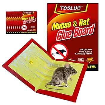 La Più Potente Trappola per Topi Grandi, Piccoli, 8 Trappole con Colla Topicida Super Adesiva, più Forte, Cattura da Interno ed Esterno, Professionale Non Elettrica anche per Ratti