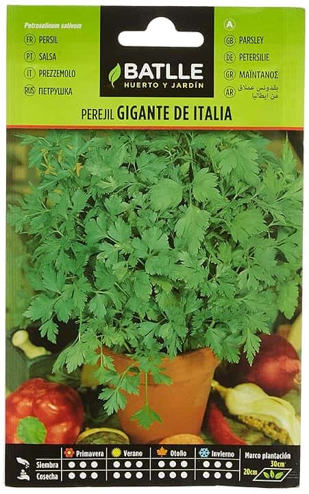 Battle - Semi Aromatici Prezzemolo Gigante d'Italia (Semi - 35Cm)