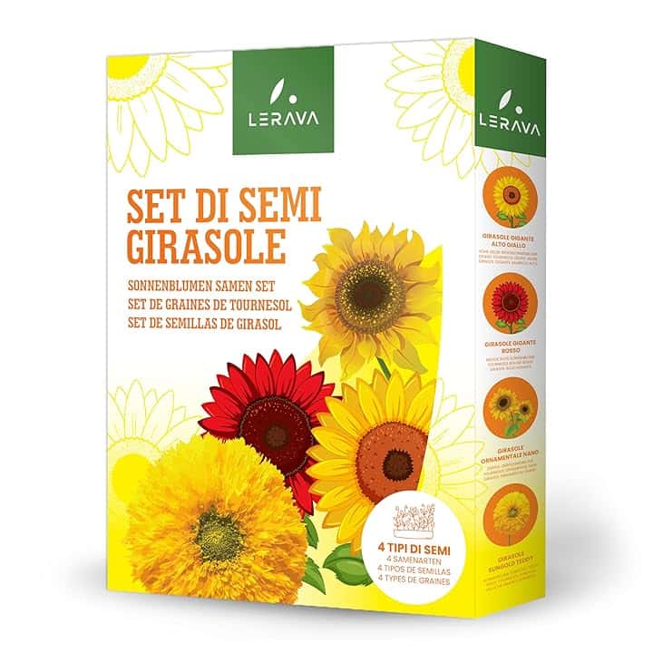 LERAVA® Semi Girasoli (4 varietà) - Girasole gigante rosso giallo nano Sungold - Facile coltivazione per giardino - Semi di girasole da piantare per fioriture ricche e colorate