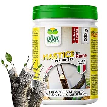 Albagarden - Mastice Per Innesti E Potature ++ Con Rame ++ Antibatterico Pasta Cicatrizzante Curativa Per Ferite Piante Alberi Arbusti Kit Bonsai X 200 Gr