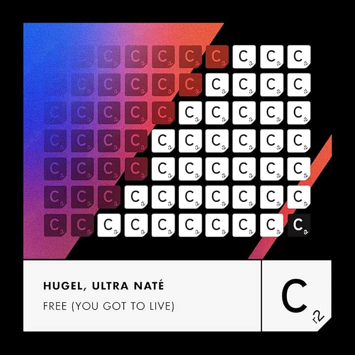 Free (You Got To Live) (Extended Mix)