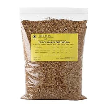 Semi per Prato, Trifoglio Nanissimo Trifolium repens, Non richiede Taglio, Calpestabile e Tappezzante (200g – 50m²)