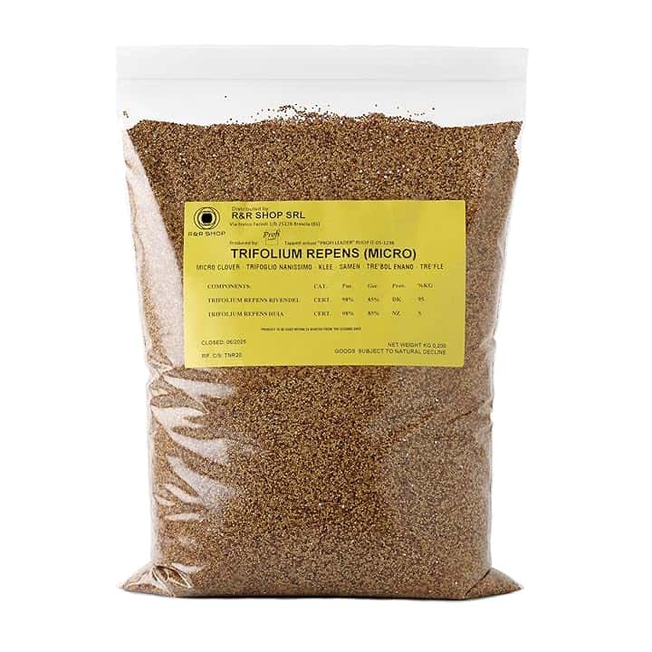 Semi per Prato, Trifoglio Nanissimo Trifolium repens, Non richiede Taglio, Calpestabile e Tappezzante (200g – 50m²)