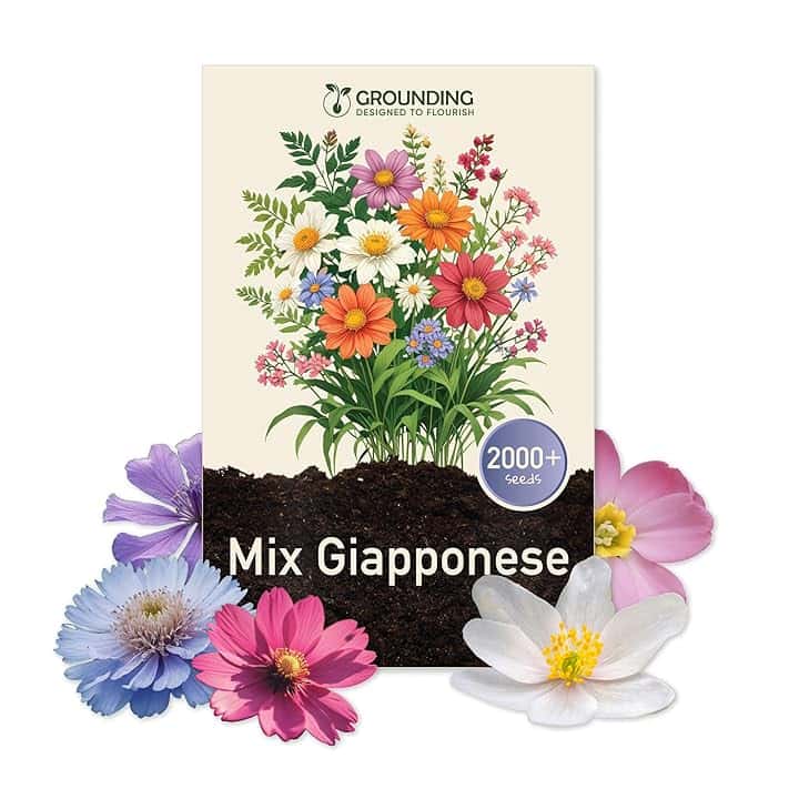 Grounding - Semi di Mix Prato Fiorito Giapponese, 2000+ semi, altezza max 30cm - fioriture in tanti colori - Ideale per aiuole, bordure - Semina facile - Attira api e farfalle - Qualità Europea