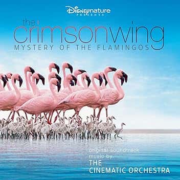 Arrival of the Birds