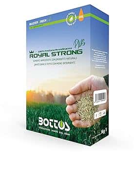 Semi per Prato Royal Strong Plus 1 Kg Sementi Conciate 100% Festuca Arundinacea Tappeto Erboso