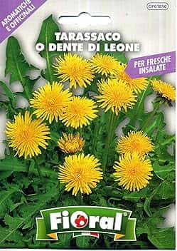Sementi di piante aromatiche e officinali in bustina ad uso amatoriale (TARASSACO O DENTE DI LEONE)