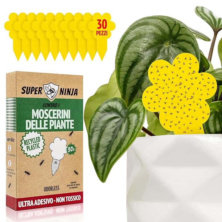 Super Ninja Trappole anti Moscerini delle Piante - 30 Pezzi, Esche Adesive Eco, Catturano i Moscerini del Terriccio in Casa, Senza Insetticidi, Sicure per uso Interno/Esterno, Durata 3 Mes