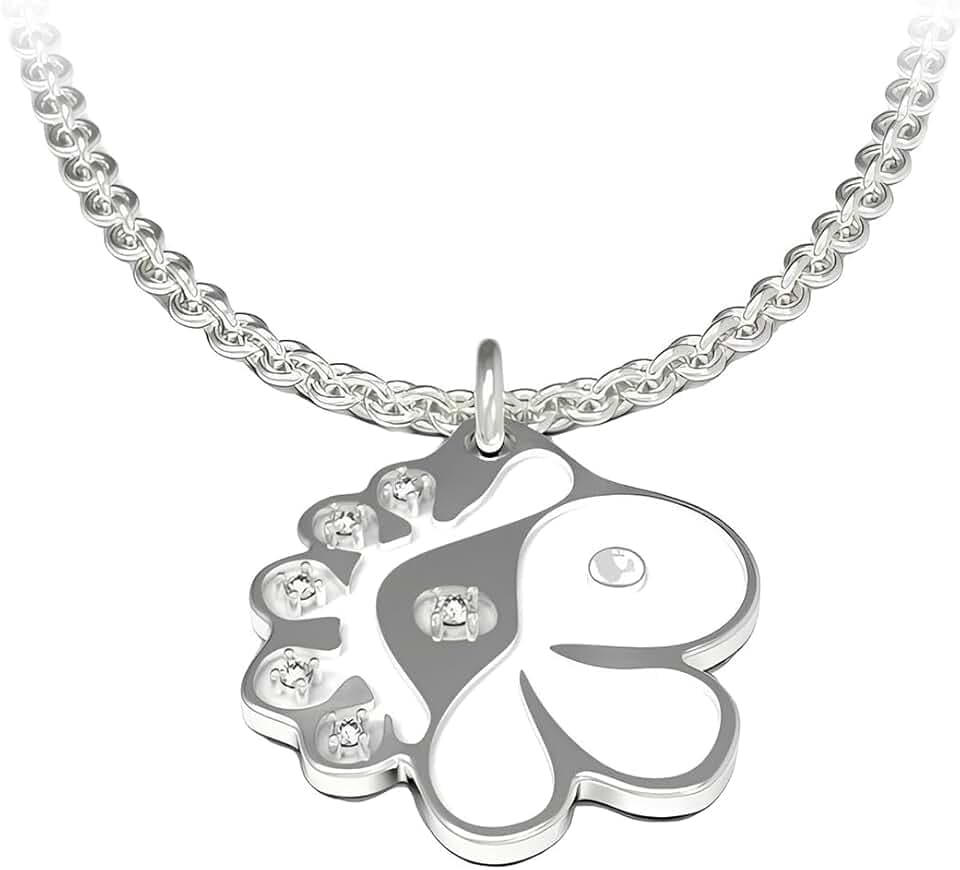 EIROVYA Kpop Gadget,Collana Cortis per Concerti Kpop,Cortis Gadget,Collana in Acciaio Inossidabile Unisex,Cortis Merch,Regalo per Fan di Kpop,Regalo di Compleanno per i Fan