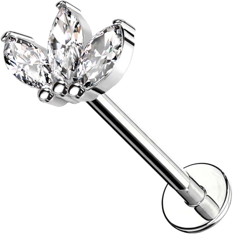 AWAKEN Piercing Labret Acciaio Chirurgico Filettato Internamente Stud Orecchini Borchie Cartilagine Helix Tragus Conch Medusa Daith Piercing a Bottone