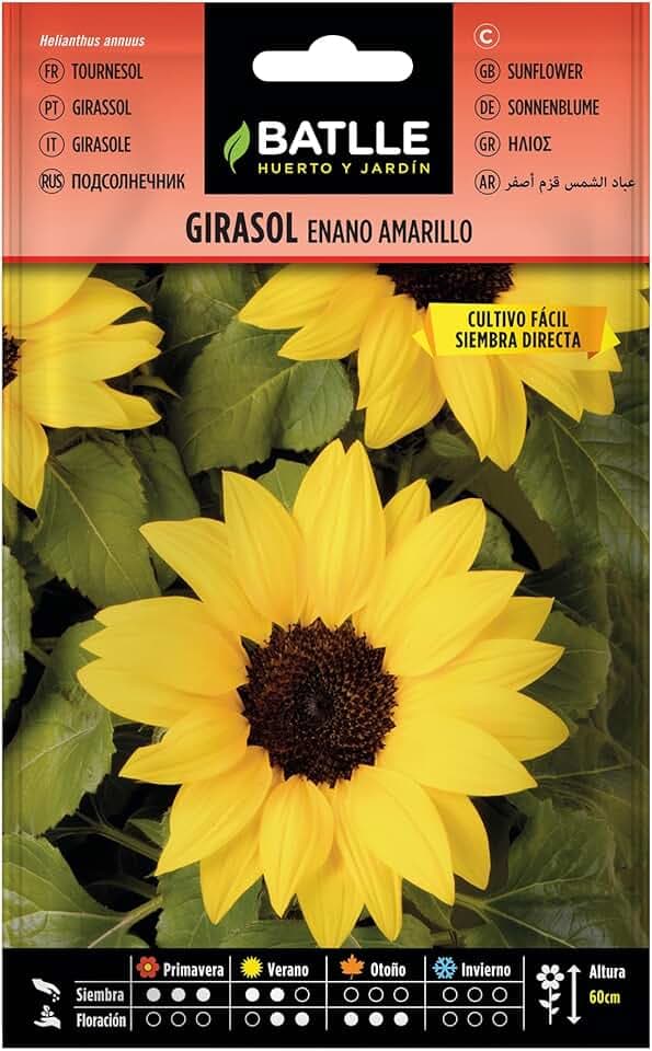 Battle- Semi di Fiori, Girasole Nano Giallo