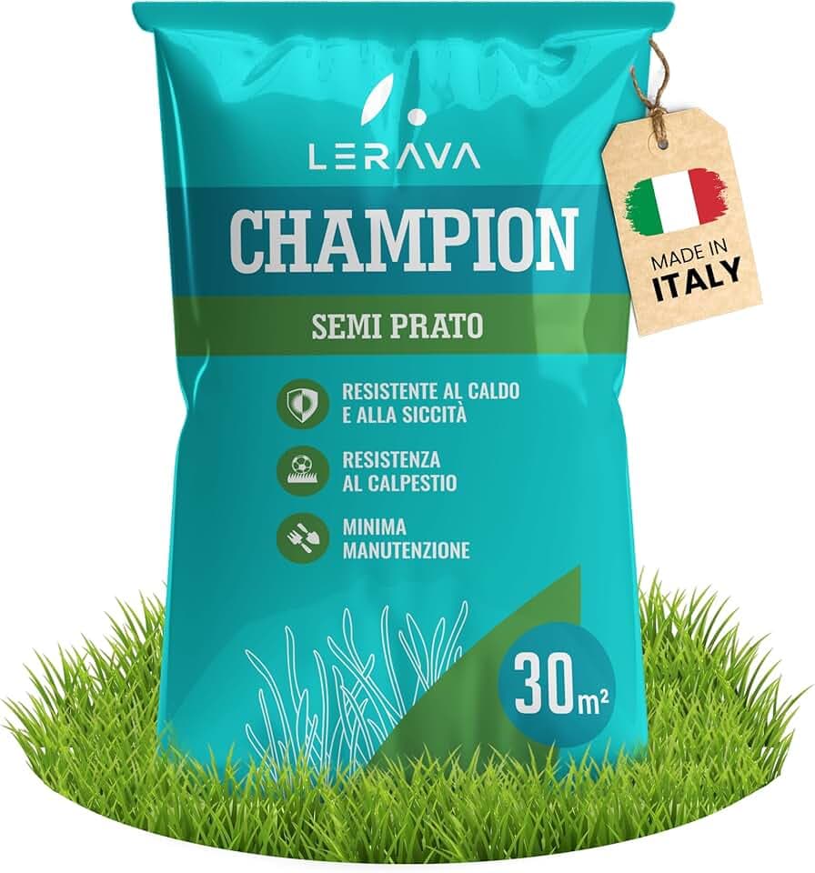 LERAVA CHAMPION semi prato (30m²) - festuca arundinacea di qualità - resistente a siccità e alte temperature - prato verde scuro fine - ideale per giardini e spazi verdi