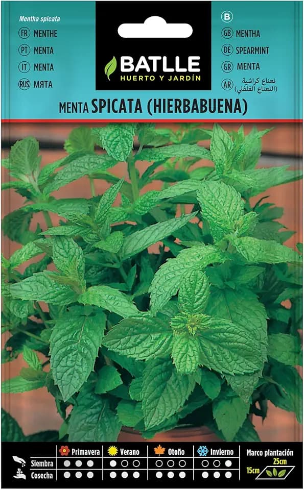 Battle - Semi Aromatici Menta Spicata/Romana (Semi - 40-50Cm)