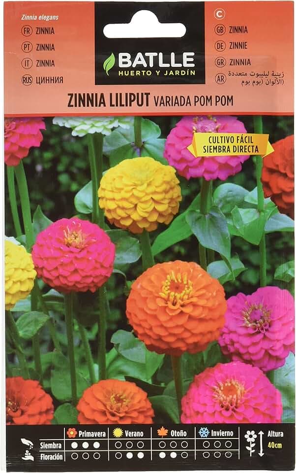 Semillas Batlle Battle - Semi di Zinnia Liliput variegata PON PON