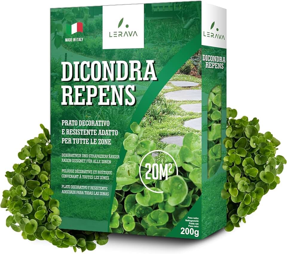 LERAVA® Dicondra semi [Non Richiede Taglio] - 20m² - Estrema resistenza alla siccità - Dichondra repens semi ideali per zone ombreggiate e soleggiate - semi dicondra per prato - 200g