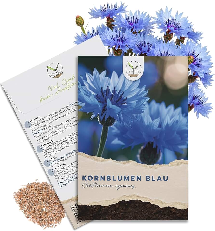 Semi di Fiordaliso (Centaurea cyanus) - Fiori splendidamente luminosi con lungo periodo di fioritura per un prato fiorito (Blu, 1000 semi, 80 cm)