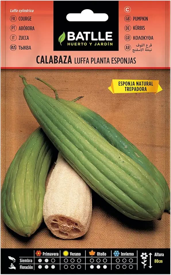 Semillas Batlle - Semi Fiori, Semi per Zucca