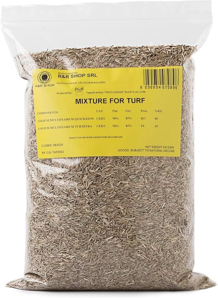 Semi per Prato Resistente, Loietto, Crescita Rapida e Calpestabile, Adatto a tutti i tipi di Terreno (500gr - 20mq)