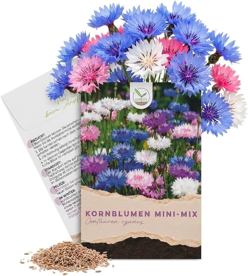 Semi di Fiordaliso (Centaurea cyanus) - Fiori meravigliosamente brillanti con lunga fioritura, di piccole dimensioni - ideali per il vaso da balcone (Mini Mix, 1000 semi, 50 cm)