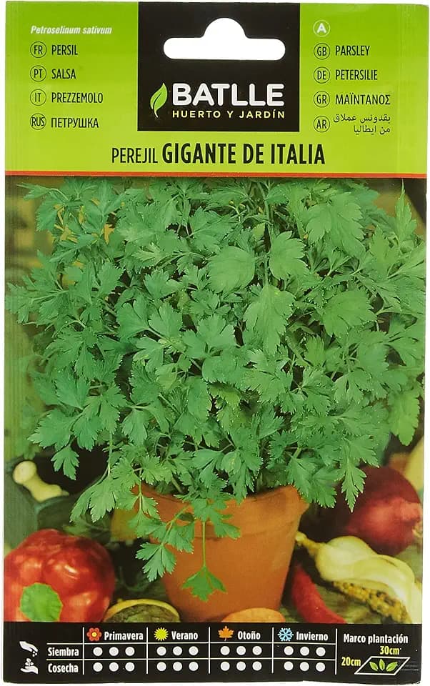 Battle - Semi Aromatici Prezzemolo Gigante d'Italia (Semi - 35Cm)