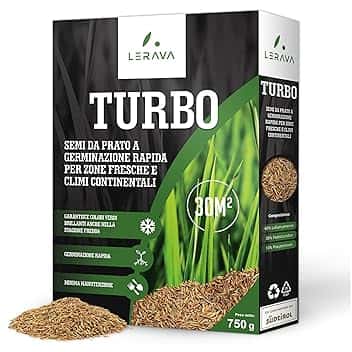 LERAVA TURBO Semi Loietto Perenne (30 m²) - Semi prato a Crescita Rapida - Fine Tessitura - Sementi per Prato Resistente e Denso - Erba da Giardino Verde Brillante - Ideale per Sole e Ombra