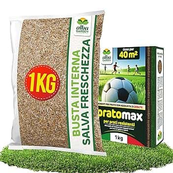 Albagarden - Semi Prato Resistente Al Calpestio - 40mΒ² - Sementi Erba per Tappeti Erbosi per Aree Gioco - Super Calpestabile - Rapida Crescita per ogni Tipo di Terreno e Giardino