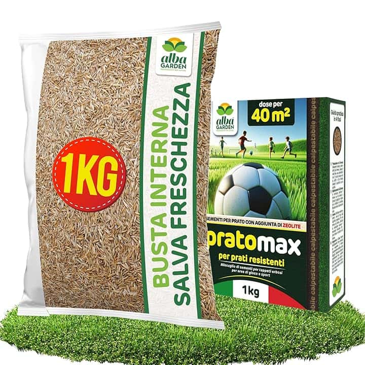 Albagarden - Semi Prato Resistente Al Calpestio - 40mΒ² - Sementi Erba per Tappeti Erbosi per Aree Gioco - Super Calpestabile - Rapida Crescita per ogni Tipo di Terreno e Giardino